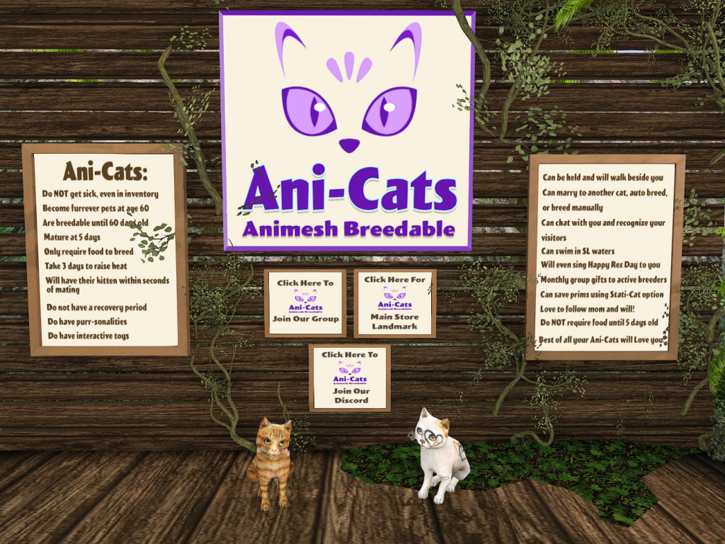Ani-Cats